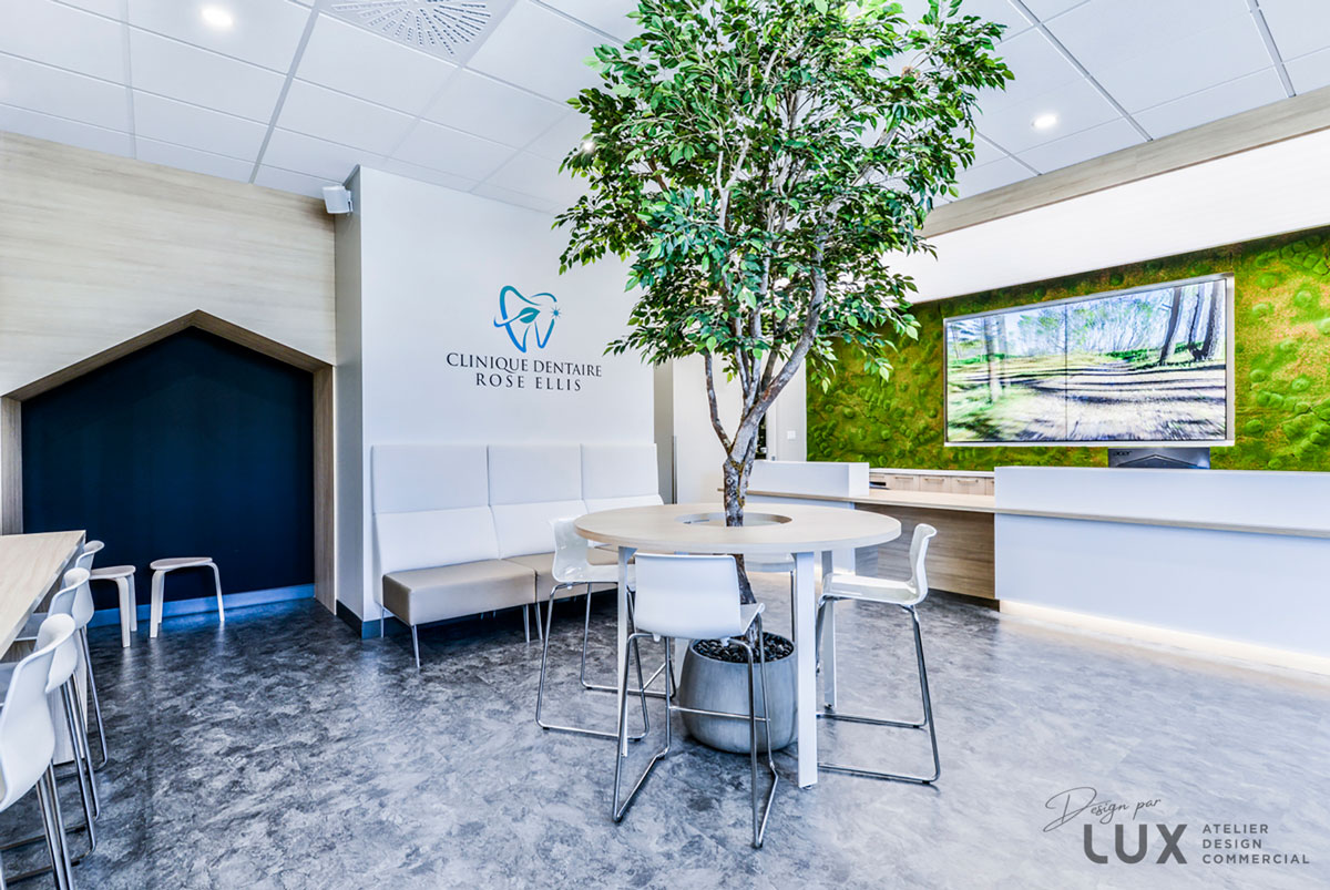 Vue intérieure de la Clinique dentaire Rose-Ellis à Drummondville après le travail réalisé par le designer d'intérieur et notre entrepreneur général de ProTech.